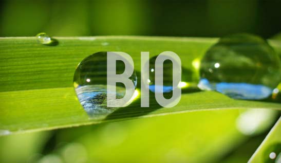 cosmetica biologica mariche correcher