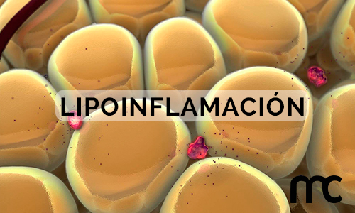 combate la lipoinflamacion con el metodo pronokal - mariche correcher
